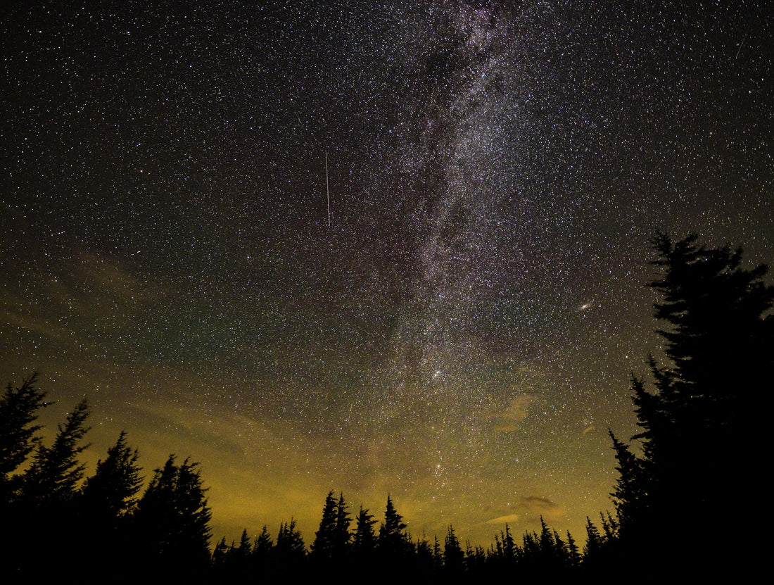 A meteor streaks across the night sky during a meteor shower (image: NASA/Bill Ingalls)