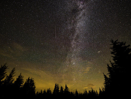 A meteor streaks across the night sky during a meteor shower (image: NASA/Bill Ingalls)