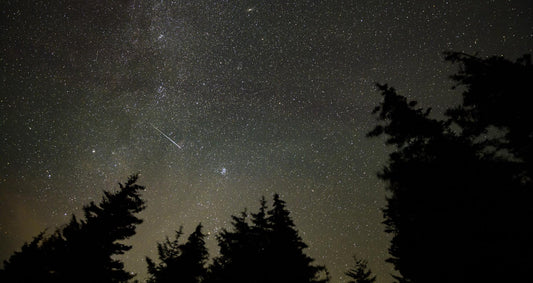 A meteor streaks across a starry night sky in a 30-second exposure (image: NASA/Bill Ingalls)
